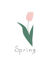 Spring flower tulip. Simple drawing. Vector.