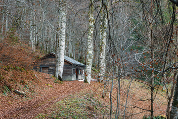 Cabane de pêche du lac de Bethmale en automne/hiver. Ariège