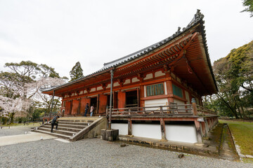 京都・醍醐寺の金堂