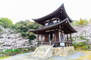 京都・勧修寺と桜