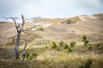 sand dunes on curonian spit, lithuania, nida, baltic countries, baltics, europe