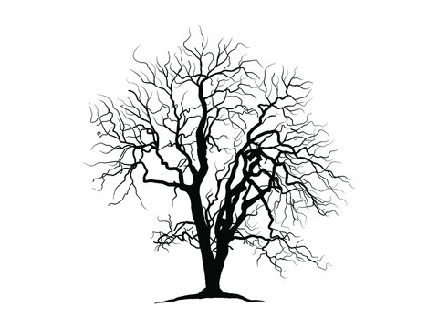 Black Branch Tree or Naked trees silhouettes on white background. Hand drawn isolated illustrations.