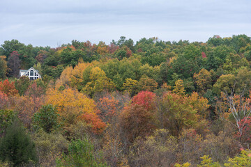 Colors of Fall Foilage