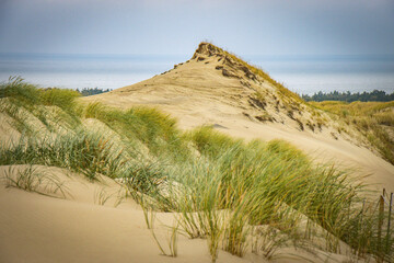 sand dunes on curonian spit, lithuania, nida, baltic countries, baltics, europe