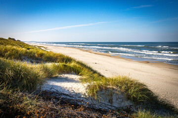 Fototapeta na wymiar beach near nida, curonian spit, lithuania, nida, baltic countries, baltics, europe, baltic sea