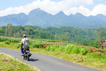 Obraz premium The view of the muria mountains when viewed from the north side of Jepara Regency, Central Java, Indonesia. Description108/200