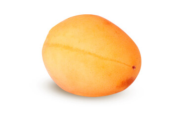 Apricot on an isolated white background