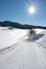Piste de ski de fond dans la montagne du Haut Jura, Les Moussières, France - 482183788