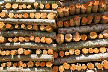 Piles of wood from logging forests to be used as raw materials for furniture. Piles of round and square wood form patterns and textures.