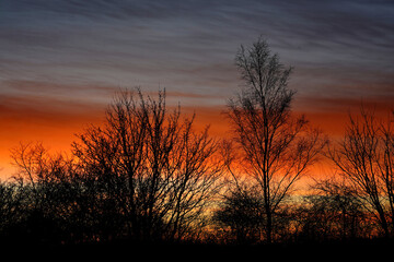 Orange Sunset Cloud Behind The Trees With Grey Cloud Band