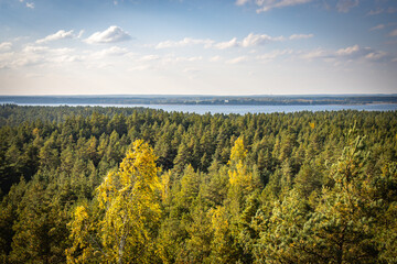 view from obersvation tower, latvia, usma lake, baltic countries, baltics, europe,