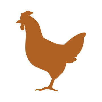 Chicken silhouette illustration. Image for farm and agriculture.