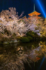 京都・清水寺と桜