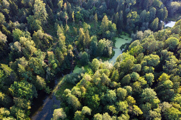 River and green forest aerial view