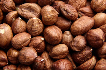 Shelled raw hazelnuts background closeup