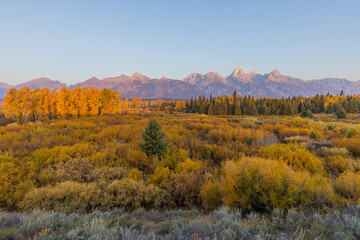 Scenic Autumn Landscape in Grand Teton National Park Wyoming