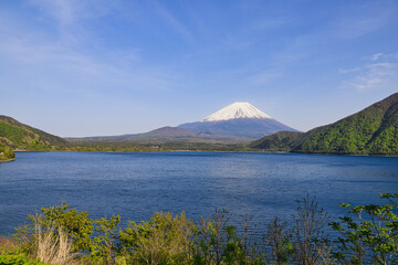 春の富士山と本栖湖　山梨県