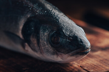 Close Up of Freshly Caught Sea Bass