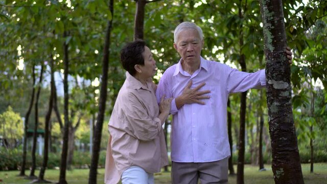 Asian elderly man heart attack failure while walking in the park with wife emergency first aid