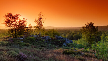 Denecourt hiking path number 16 in the French Gâtinais regional nature park