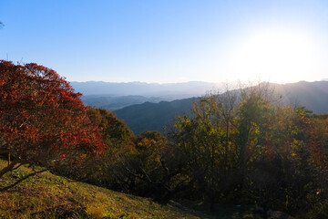 埼玉県秩父郡長瀞町 秋の宝登山から見る夕日