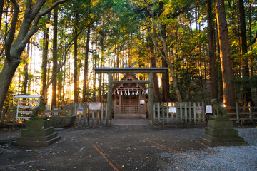 埼玉県秩父郡長瀞町 夕方の寳登山神社、奥宮