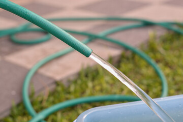 Close-up green garden hose was poured water from rubber tube put in the blue bucket at garden.