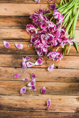 Verblühte Tulpen auf Holz Untergrund, Frühling, Blumen, vergänglich