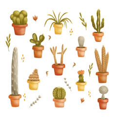 set of cactus