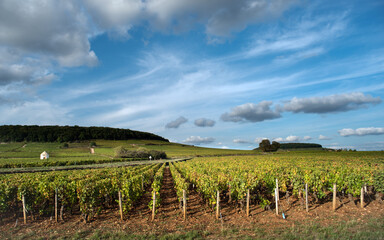 Fototapeta na wymiar Climat de Bourgogne 