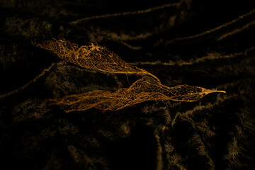 Obraz premium autumn leaves on the background