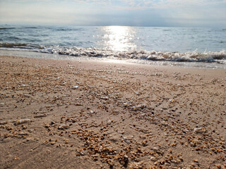 beautiful golden sand beach sunrise fresh sea breeze summer vacation. blue sky and white clouds. small of jellyfish on beach