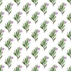 Seamless pattern with bog-rosemary, Andromeda polifolia