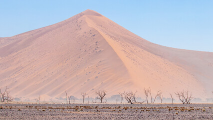 Fototapeta na wymiar Panoramic view of a sandstorm in Sossusvlei, Namibia.