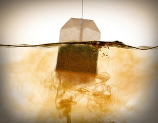 Tea bag dipped in hot water