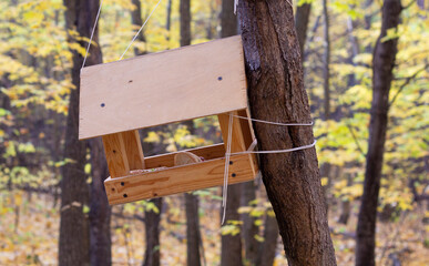A wooden birdhouse hangs on a tree in the forest. Close-up. The concept of caring for birds in winter. 