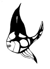black and white fish.