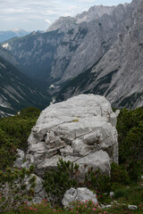 Landschaf