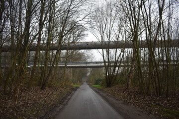 factory tube in the woods