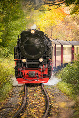 Dampflok im herbstlichen Wald.