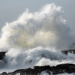 storm over the sea