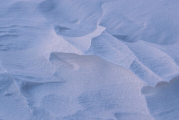 The texture of snow in the wind in the field. Close-up. A snowy field. - 482201112