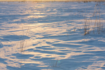 Snow in the field in winter is reflected at sunset.Close-up.The concept of nature - 482201173
