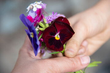 A bouquet of garden colorful small flowers in children's hands. Close-up. The concept of the holiday - 482201303