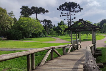 wooden bridge in a tree park