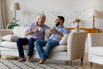 Cheerful grownup son and happy middle aged senior father enjoying coffee break in cozy living room...