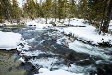 Winter river in Capcir, Cerdagne, Pyrenees, France