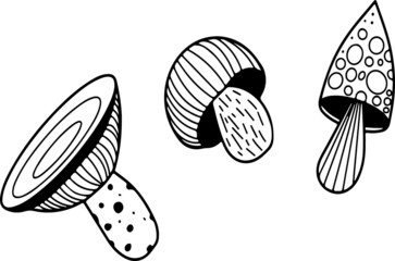 Black and white vector mushrooms, ingredients in witch's shop