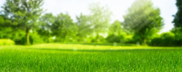 Foto op Plexiglas mooie wazige groene natuurachtergrond met groene weide op de voorgrond, idyllisch gebied voor recreatie, frisse lente of zomerconcept met kopieerruimte © winyu