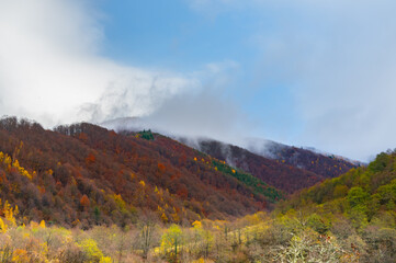 autumn landscape in the mountains